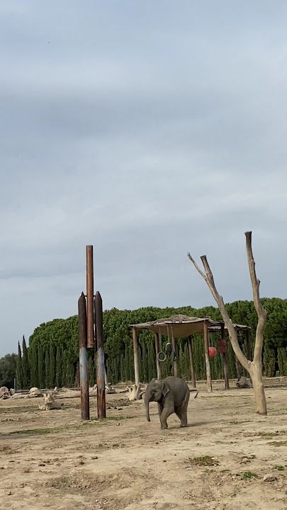 Fotoğraf 31