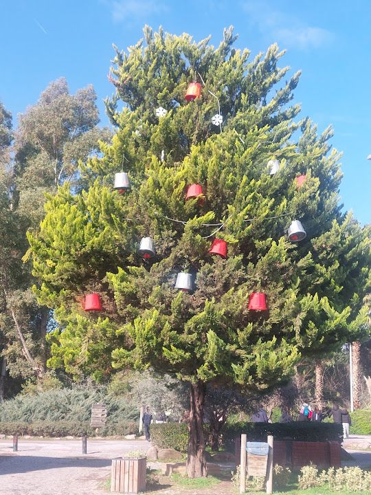Fotoğraf 35