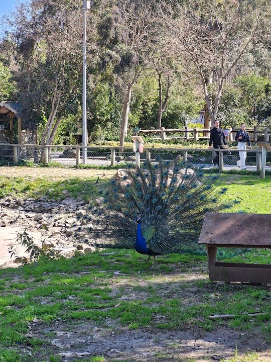 Yorum fotoğrafı 4
