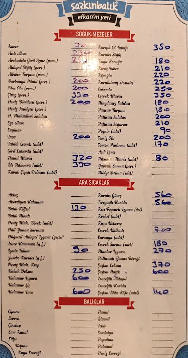 Fotoğraf 33