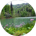 satılmış aktaş