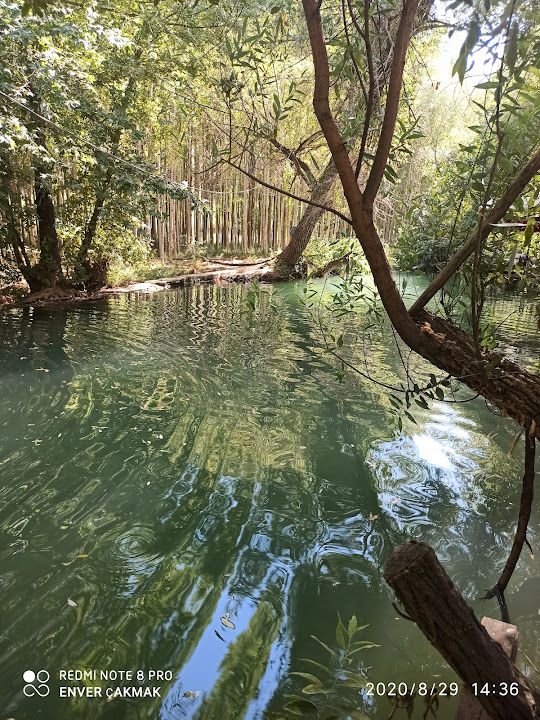 Yorum fotoğrafı 2