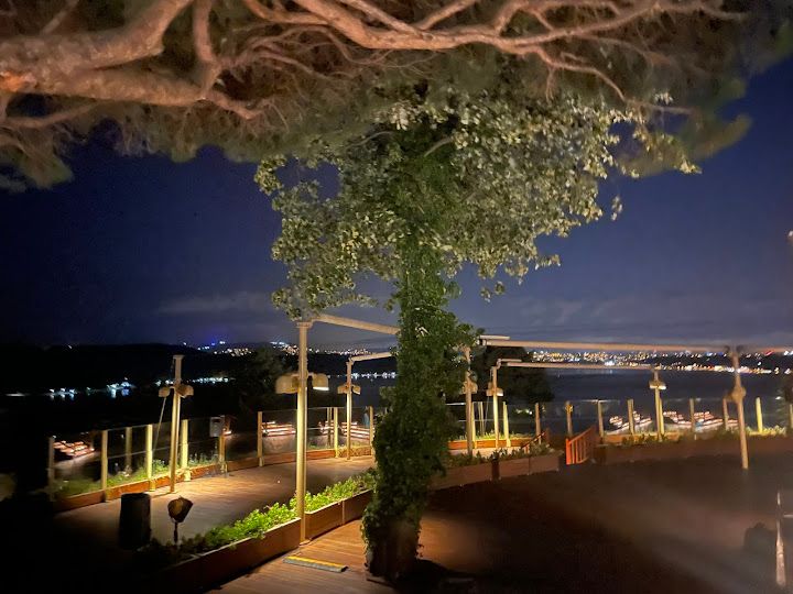 Fotoğraf 41