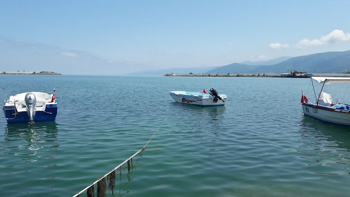 Yorum fotoğrafı 1