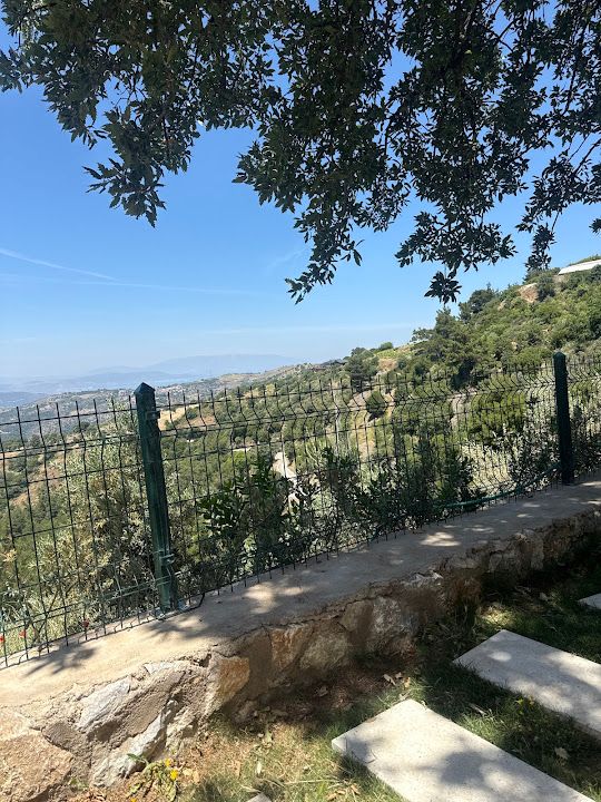 Fotoğraf 32