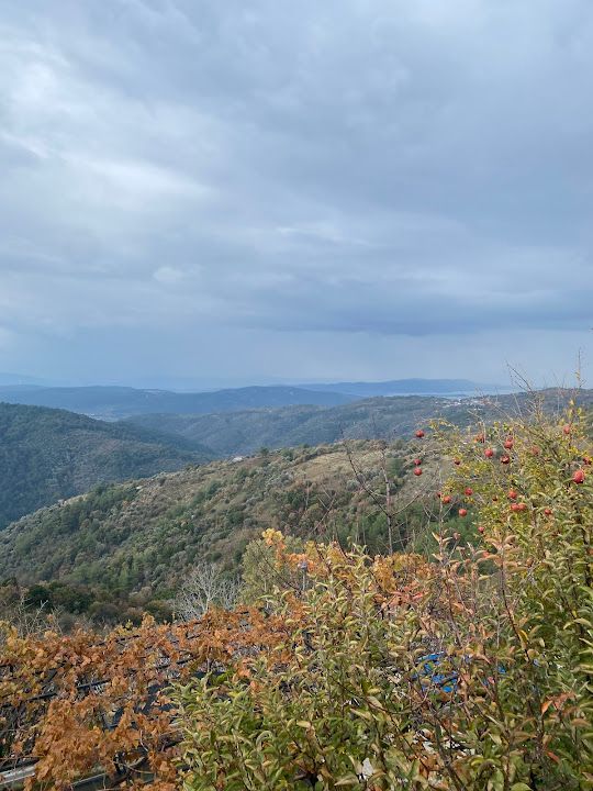 Yorum fotoğrafı 4