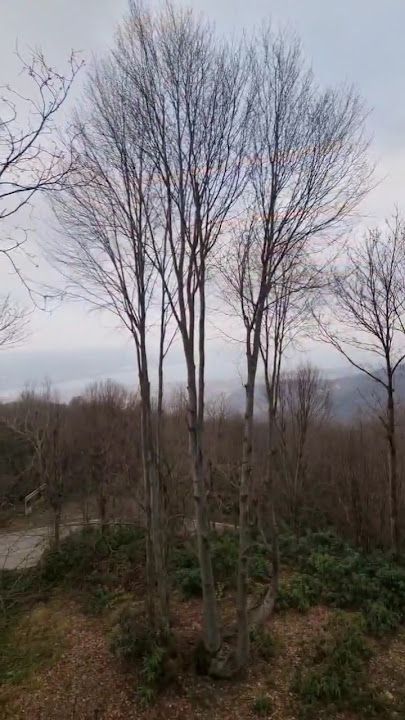 Fotoğraf 34