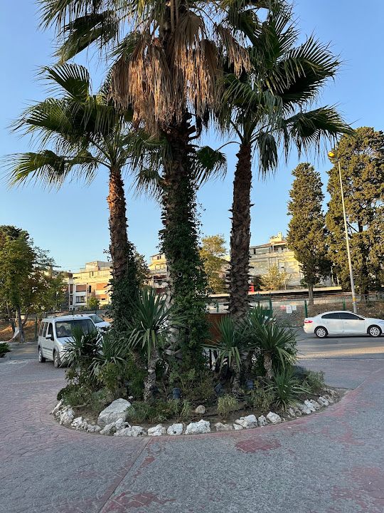 Yorum fotoğrafı 3