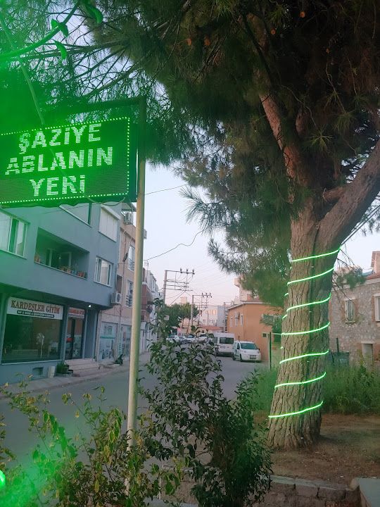 Yorum fotoğrafı 1