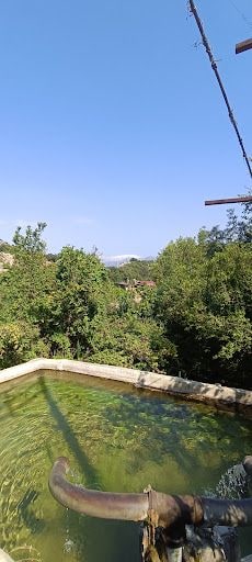 Yorum fotoğrafı 6