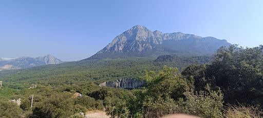 Yorum fotoğrafı 8