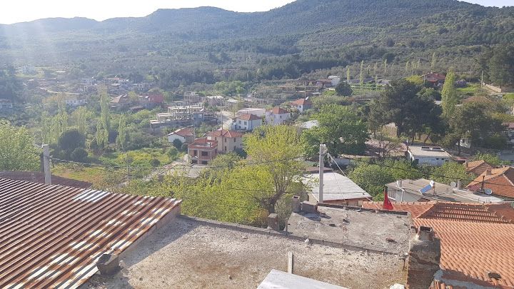 Yorum fotoğrafı 2