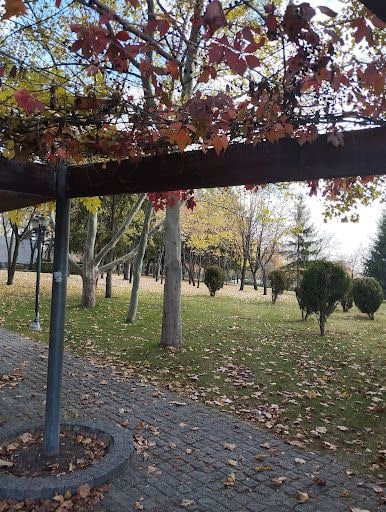 Yorum fotoğrafı 5