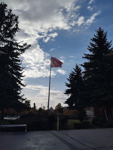Yorum fotoğrafı 8