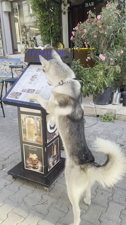 Fotoğraf 24