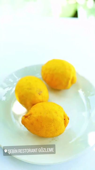 Fotoğraf 26