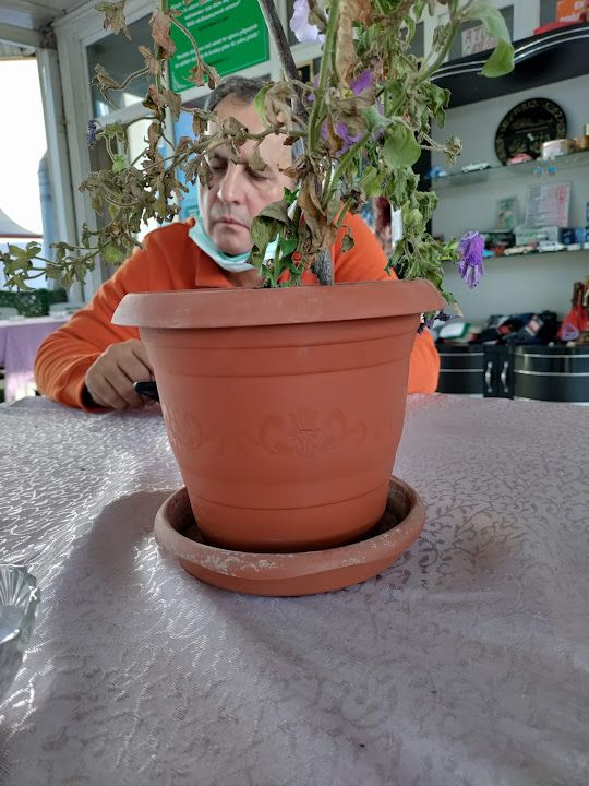 Fotoğraf 18