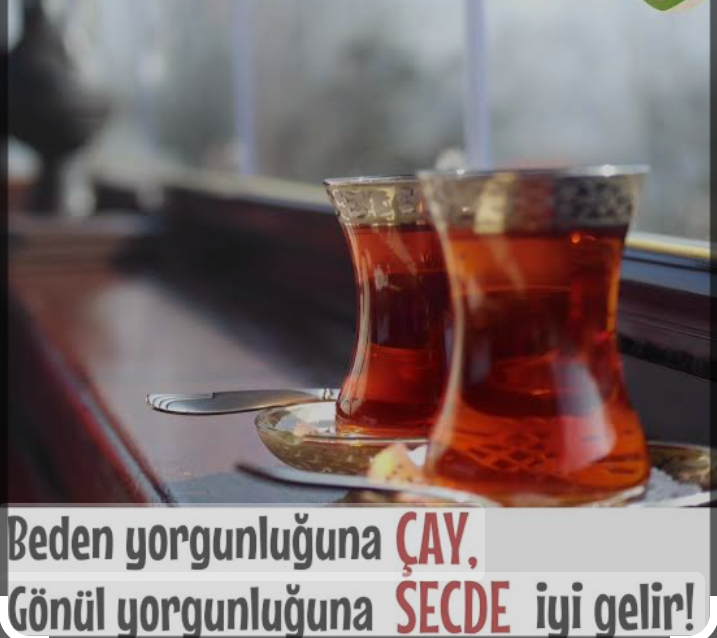 Fotoğraf 12