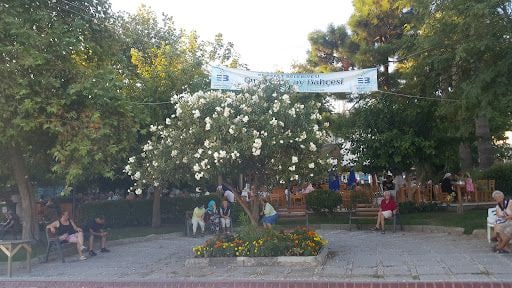 Fotoğraf 9