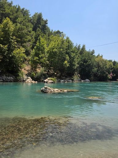 Yorum fotoğrafı 10