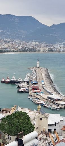 Yorum fotoğrafı 5