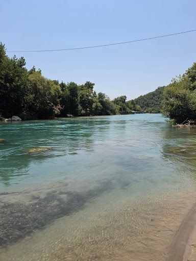 Yorum fotoğrafı 6