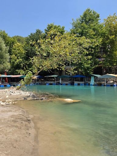 Yorum fotoğrafı 7
