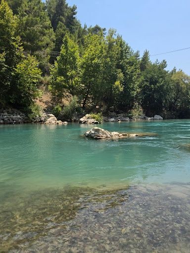 Yorum fotoğrafı 8