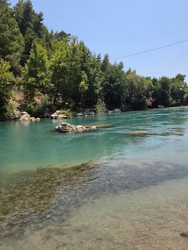 Yorum fotoğrafı 9