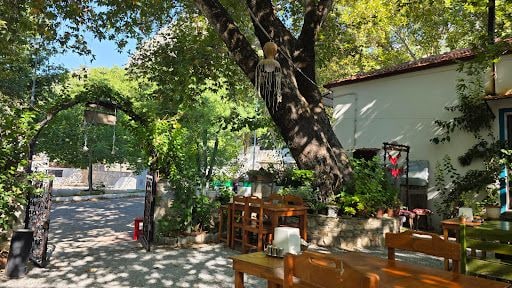 Fotoğraf 19