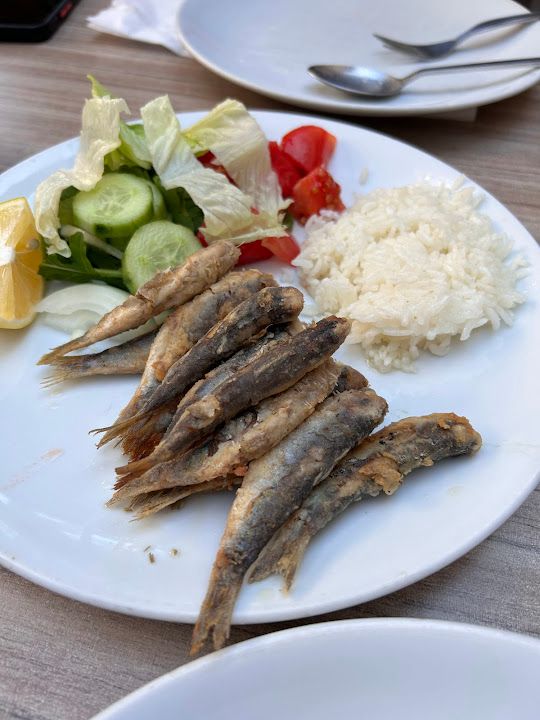 Fotoğraf 20