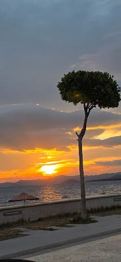 Yorum fotoğrafı 6