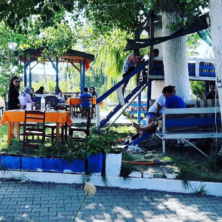 Fotoğraf 22