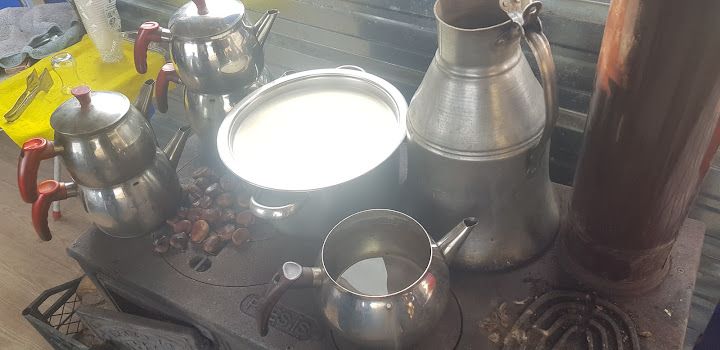 Fotoğraf 33