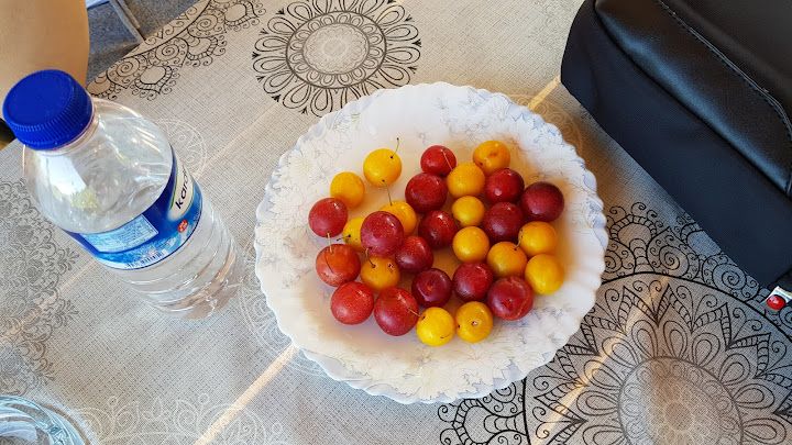 Fotoğraf 26