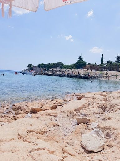 Fotoğraf 23