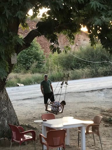 Fotoğraf 9