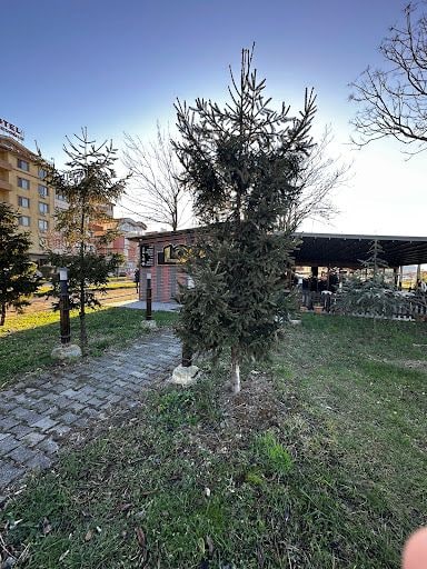 Fotoğraf 20