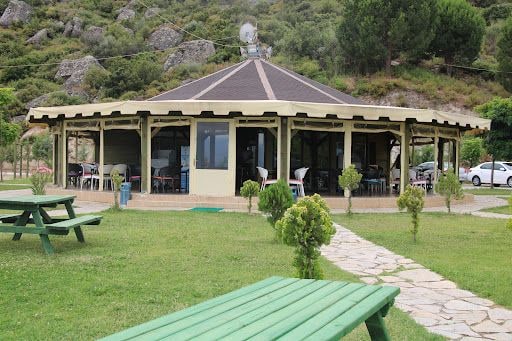 Fotoğraf 29