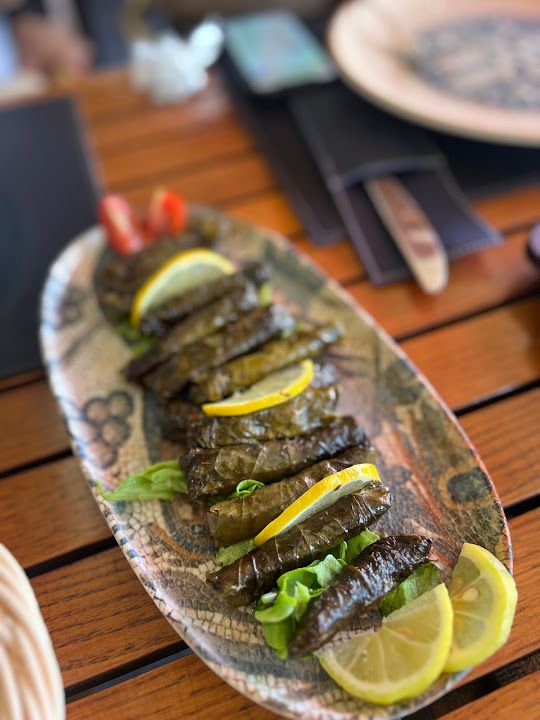 Fotoğraf 41