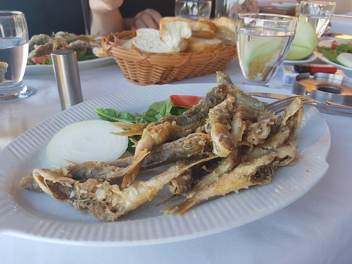 Fotoğraf 12