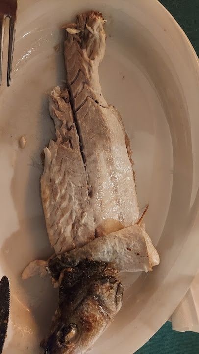 Fotoğraf 25