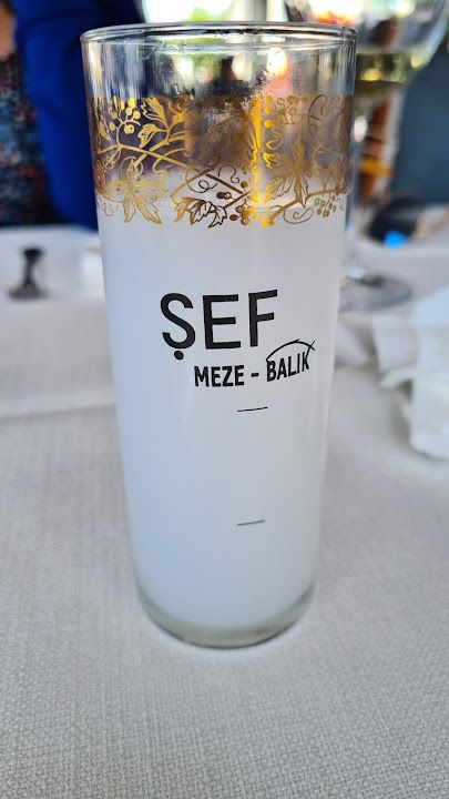 Fotoğraf 41