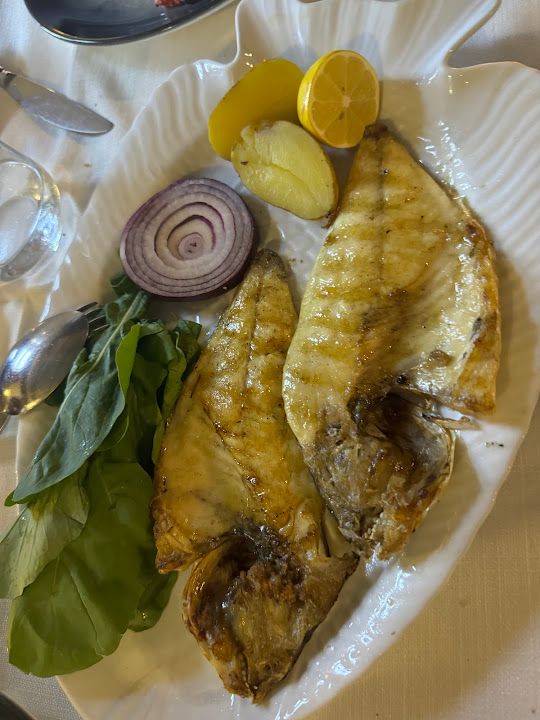 Fotoğraf 36