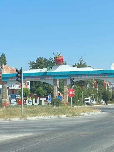 Yorum fotoğrafı 10