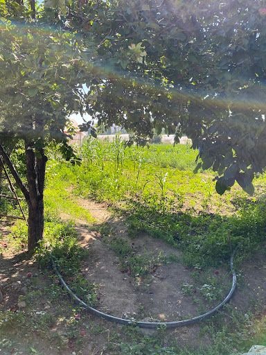 Yorum fotoğrafı 9