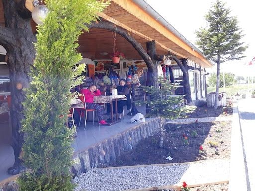Yorum fotoğrafı 5