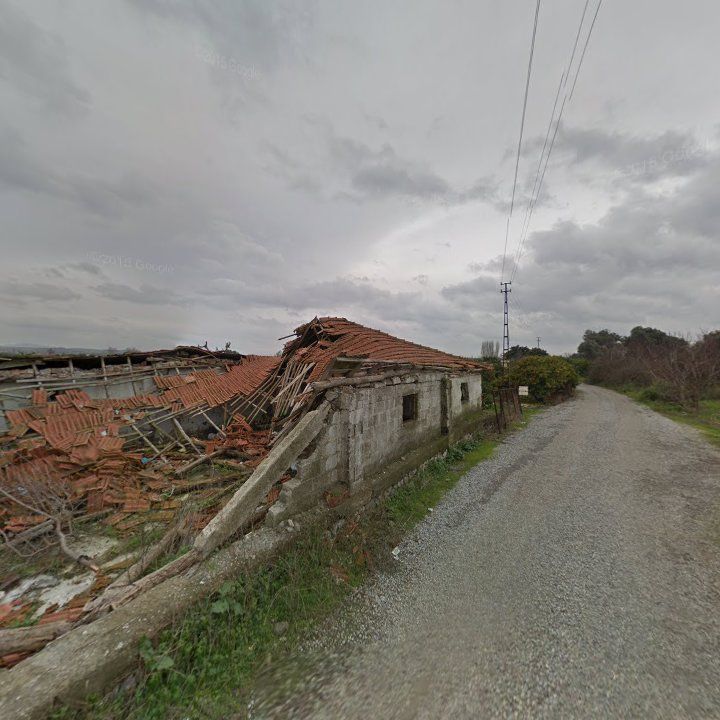 Fotoğraf 6