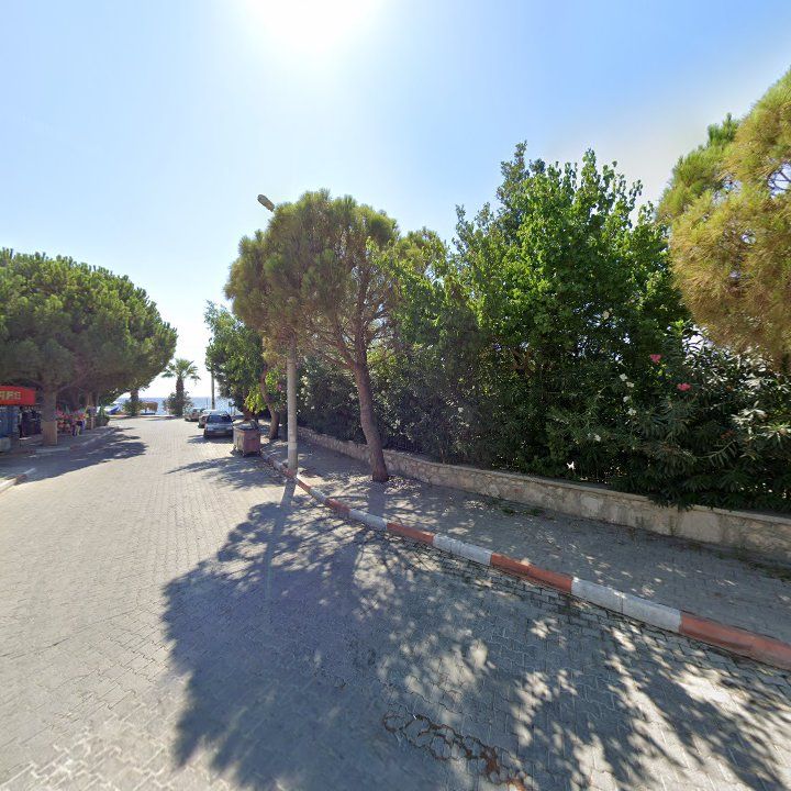 Fotoğraf 8