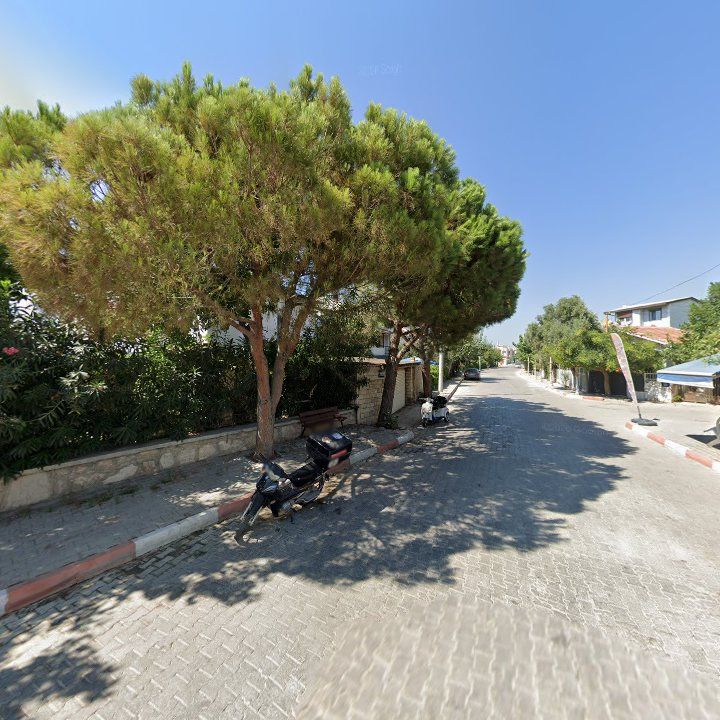 Fotoğraf 9